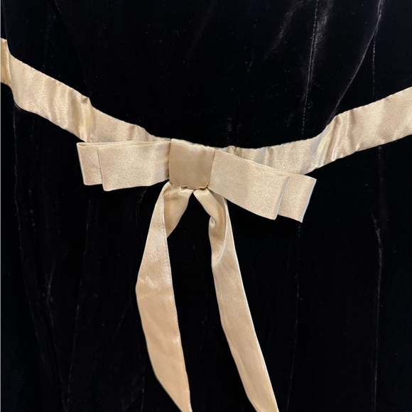 Betsy Johnson Velvet Evening Fabulous Dress nwt sz 10 - Picture 3 of 8